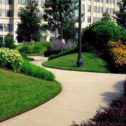 Commercial Landscaping Services