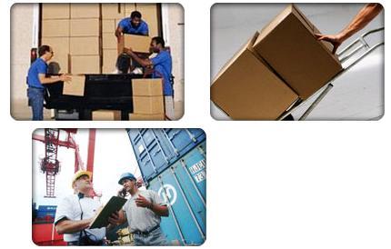 Loading and Unloading Service - Premium Essentials Carton, Safe Transport for Furniture and Electronics, Expertly Coordinated Process