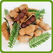 Tamarind (Imli)