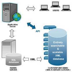 Online Database Management Services By R. S. Infotech