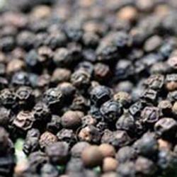 Black Pepper Powder