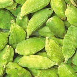 Cardamom Green