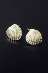 Fan Shell Stud Earrings