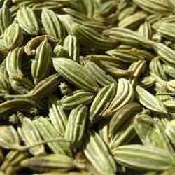 Fennel Seeds - Premium Quality Raw Material | Durable and Economically Priced