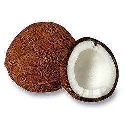 Fresh Coconut