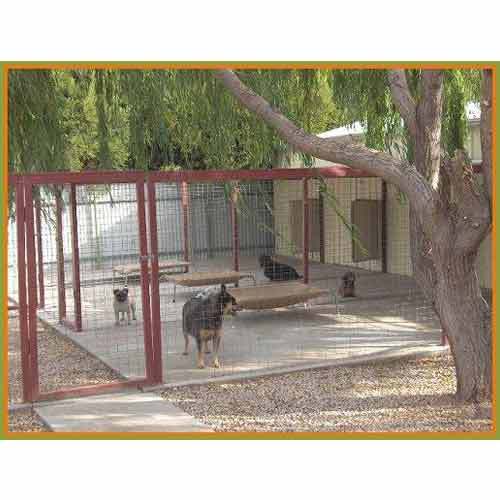  कुत्तों और बिल्लियों के लिए छात्रावास की सुविधा