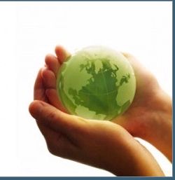 Carbon Credit Advisory Services