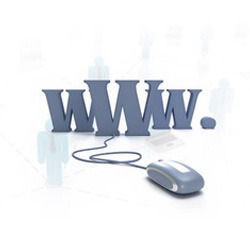 Domain Name Registration