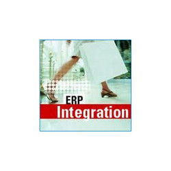 ERP Integration Services