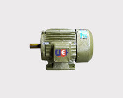 Industrial Electric Motor