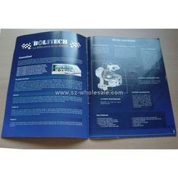 Brochure Designing By LogicBits System Pvt. Ltd.