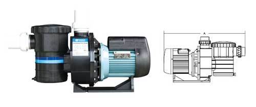 Quick Dry Swimming Pool Circulation Pump