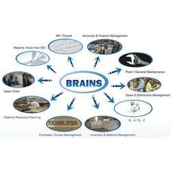 Business Resources Automation and Information System