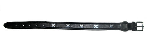 Studded Dog Collars