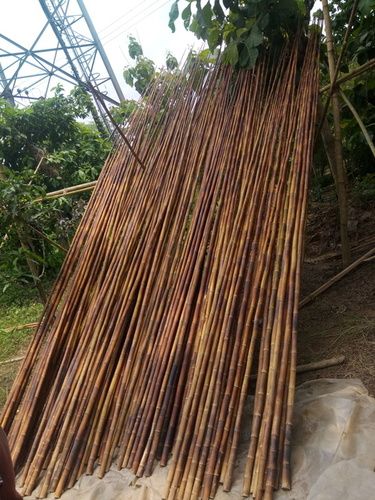 Larger Size Solid Bamboo Pole