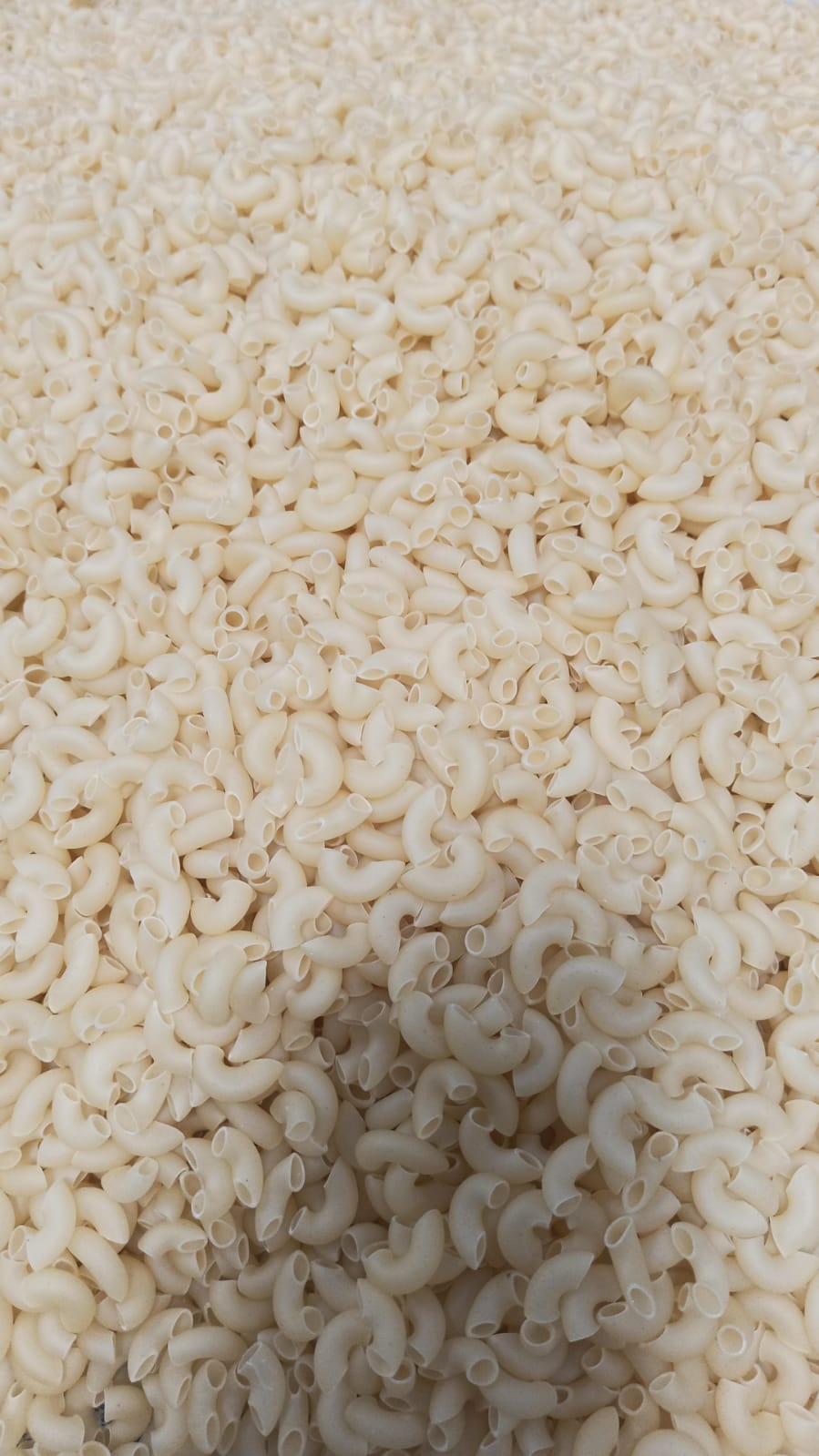 Sooji Pasta - Carbohydrate: 70% Percentage ( % )