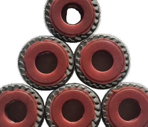 Ss304 Hex Flange Sealing Nut - Diameter: M10 Millimeter (Mm)
