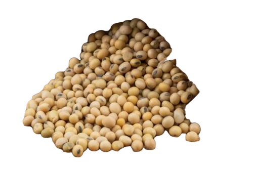Soy Bean - Admixture (%): Na