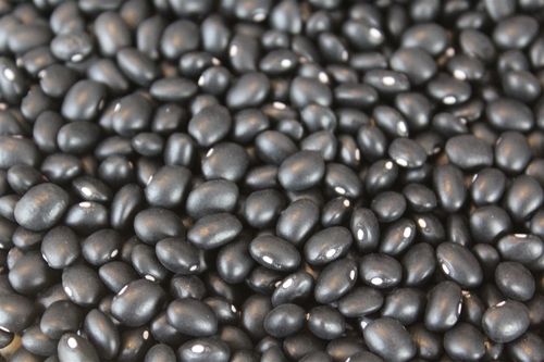 A Grade Black Kidney Beans Broken Ratio (%): 2