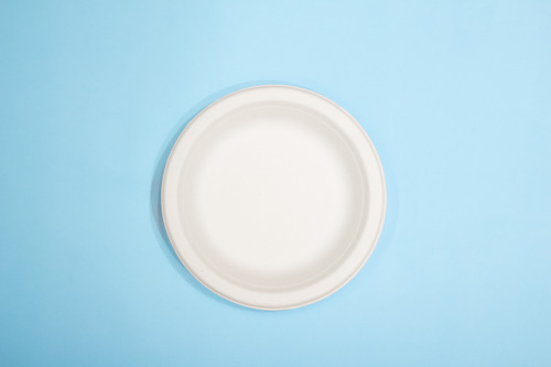 10a Inch Sugarcane Bagasse Plate a Round, Plain (No Compartments) a Compostable & Ecoa Friendly