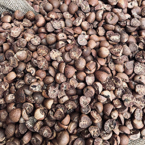 Roasted Betel Nuts - Color: Brown