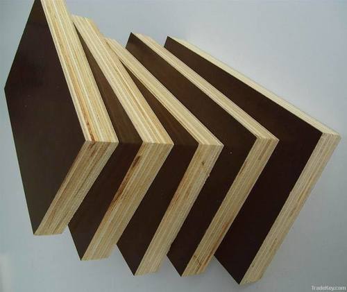 Poplar Black Film Faced Plywood