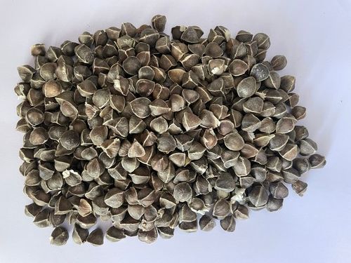 100% Organic No Impurity Whole Dried Moringa Oleifera Seeds