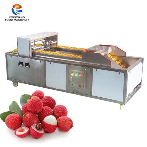 Automatic Dual track lychee Coring Machine