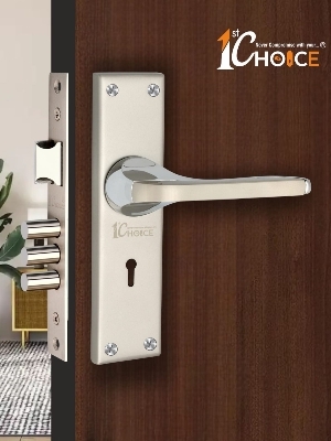 Mortise Handles - Application: Door
