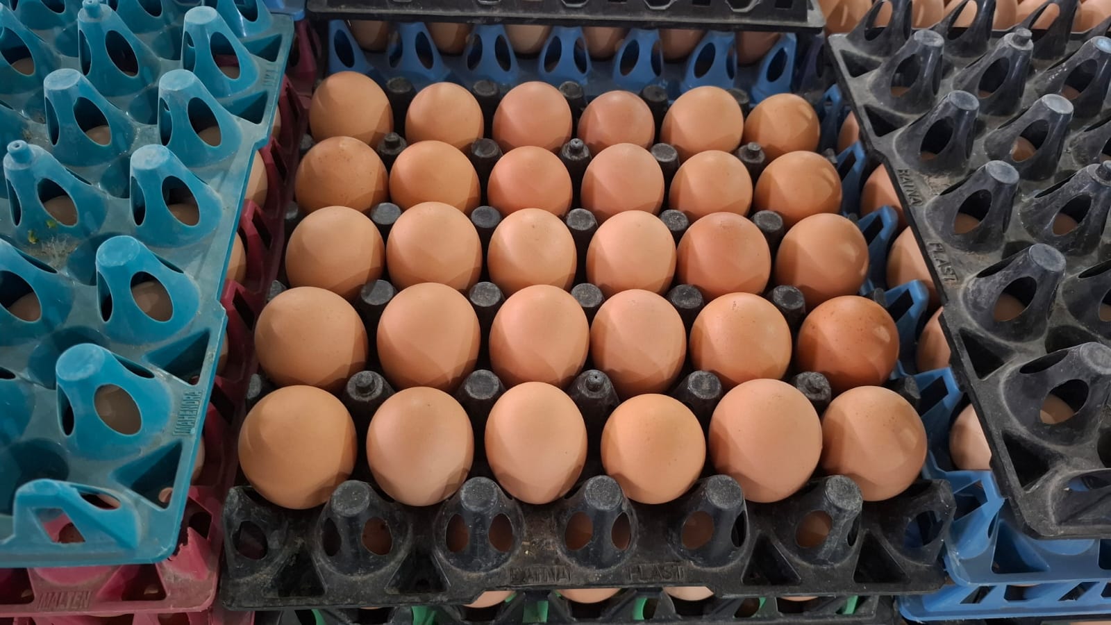 Brown Eggs - Egg Origin: Chicken