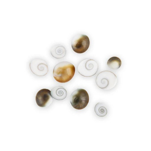Gomti Chakra Opal Stones - Round, White Color, 11 Pieces Pack | Natural Gemstones For Luck And Wealth