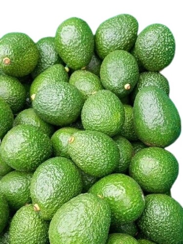 Green Avocado - Cultivation Type: Open Air
