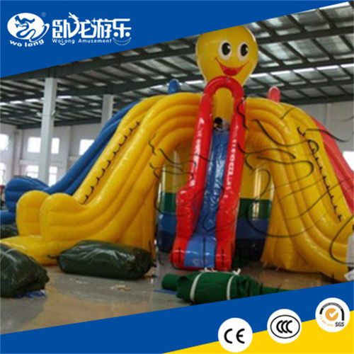 Customized Water Slide Inflatable Bounce Slide