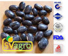 Mucuna Pruriens Extract 50% (L-Dopa)