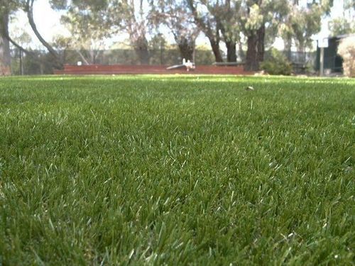 Public Area Landscaping Artificial Turf