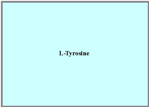  L-Tyrosine