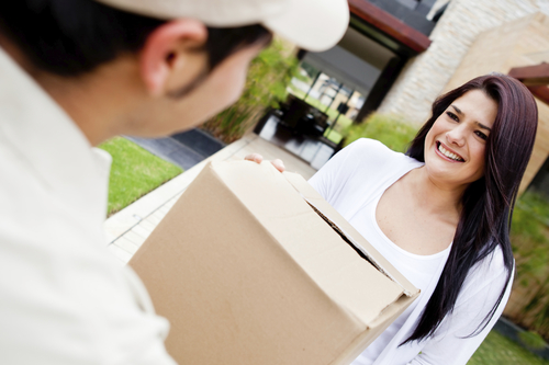 Airborne International Courier Services