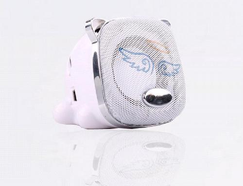 FVC01 Card USB FM Speaker