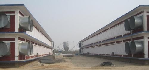 Broiler And Layer Poultry Equipments