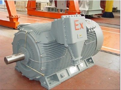 YB2 High-Voltage Flame-Proof Three-Phase Asynchronous Electric Motor