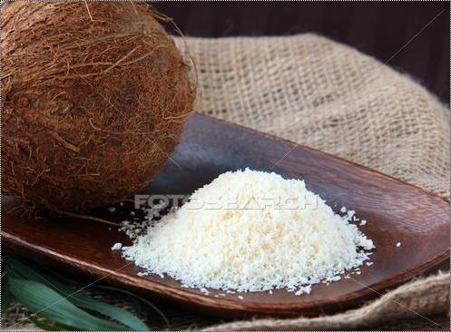 Desiccated Coconut Powder