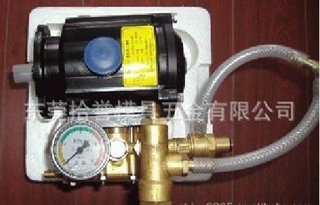 Water Pump BZ-103T