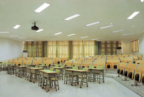 एडजस्टेबल सिंगल डेस्क और चेयर