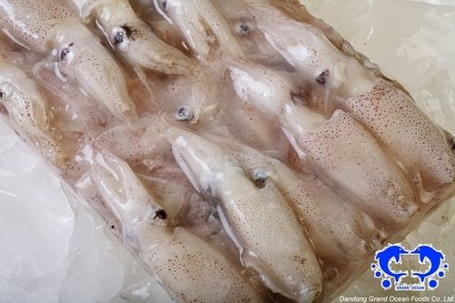 Frozen Baby Squid