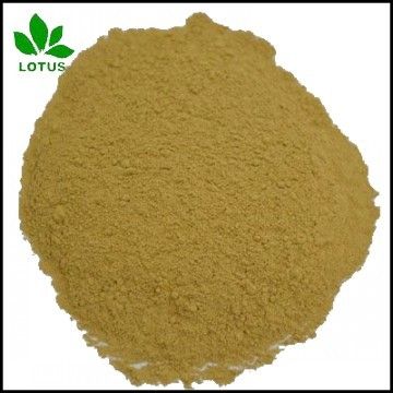 High Crude Protein Hydrolyzed Feather Meal Fm For Animal Feed Or Organic Fertilizer 85%