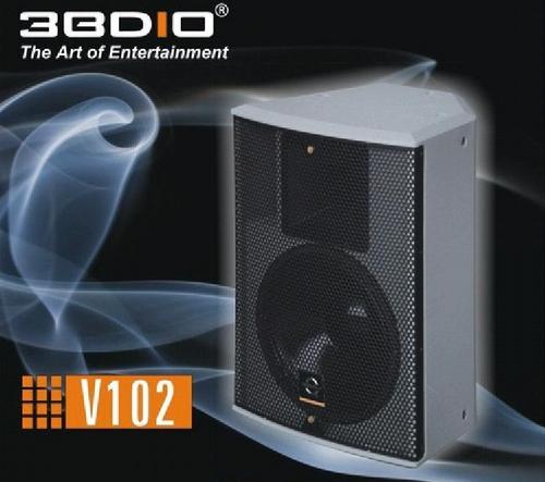 Professional Speaker V102