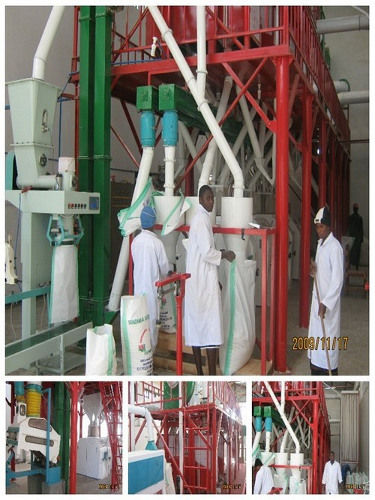 Wheat Corn Maize Flour Milling Plant