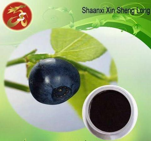 Bilberry Extract 25% UV Anthocyanins