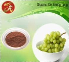 Grape Seed Extract