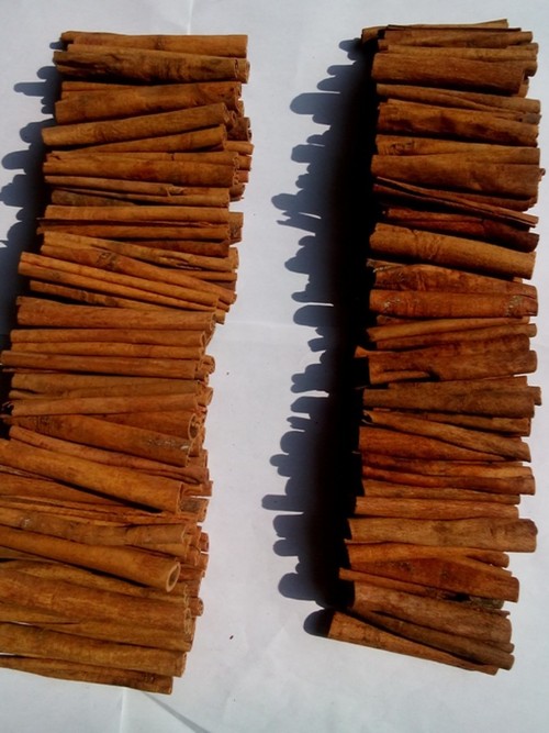 Various Cinnamon Sticks